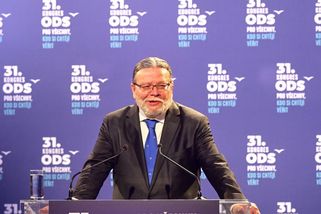 „Paní komisařko, přestaňte ničit automobilový průmysl a jádro.“ Vondra zaútočil na Riberaovou - Echo24.cz